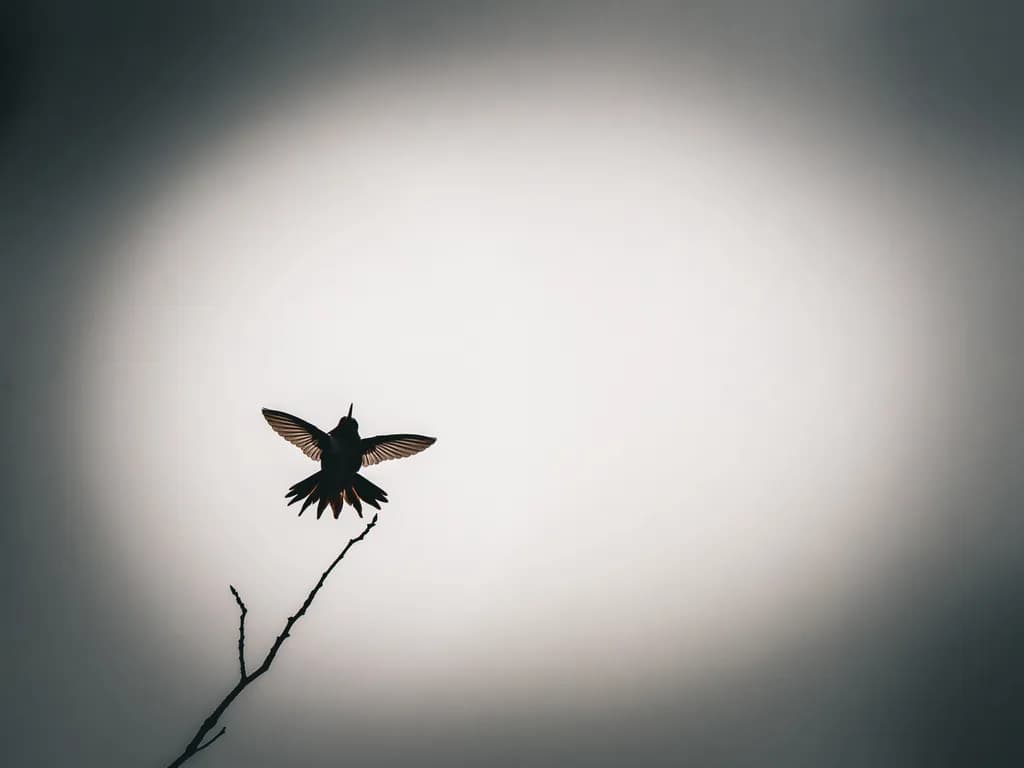 Enhanced Flight
