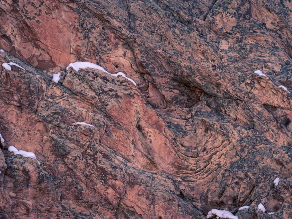 Crimson Veins