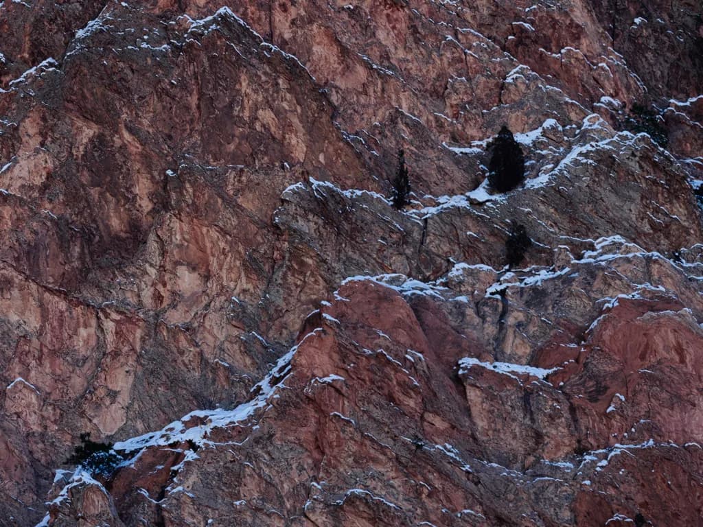 Rugged Snowline