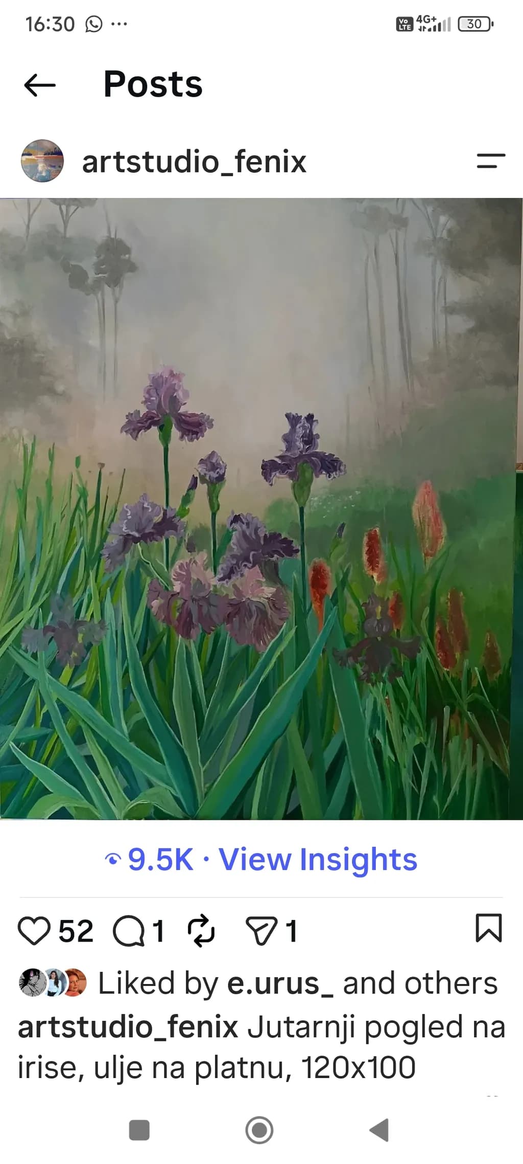 Morning Iris View