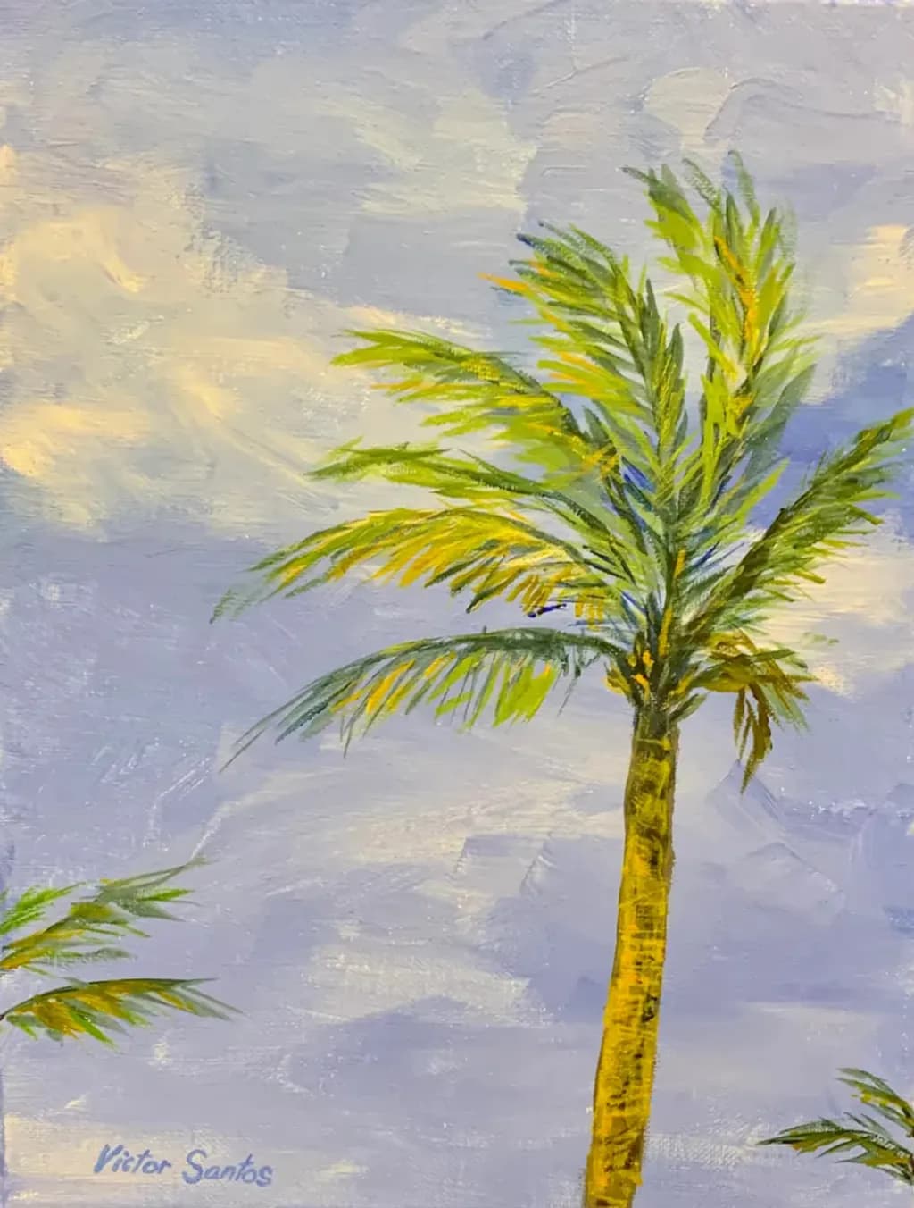 Palm Against the Sky