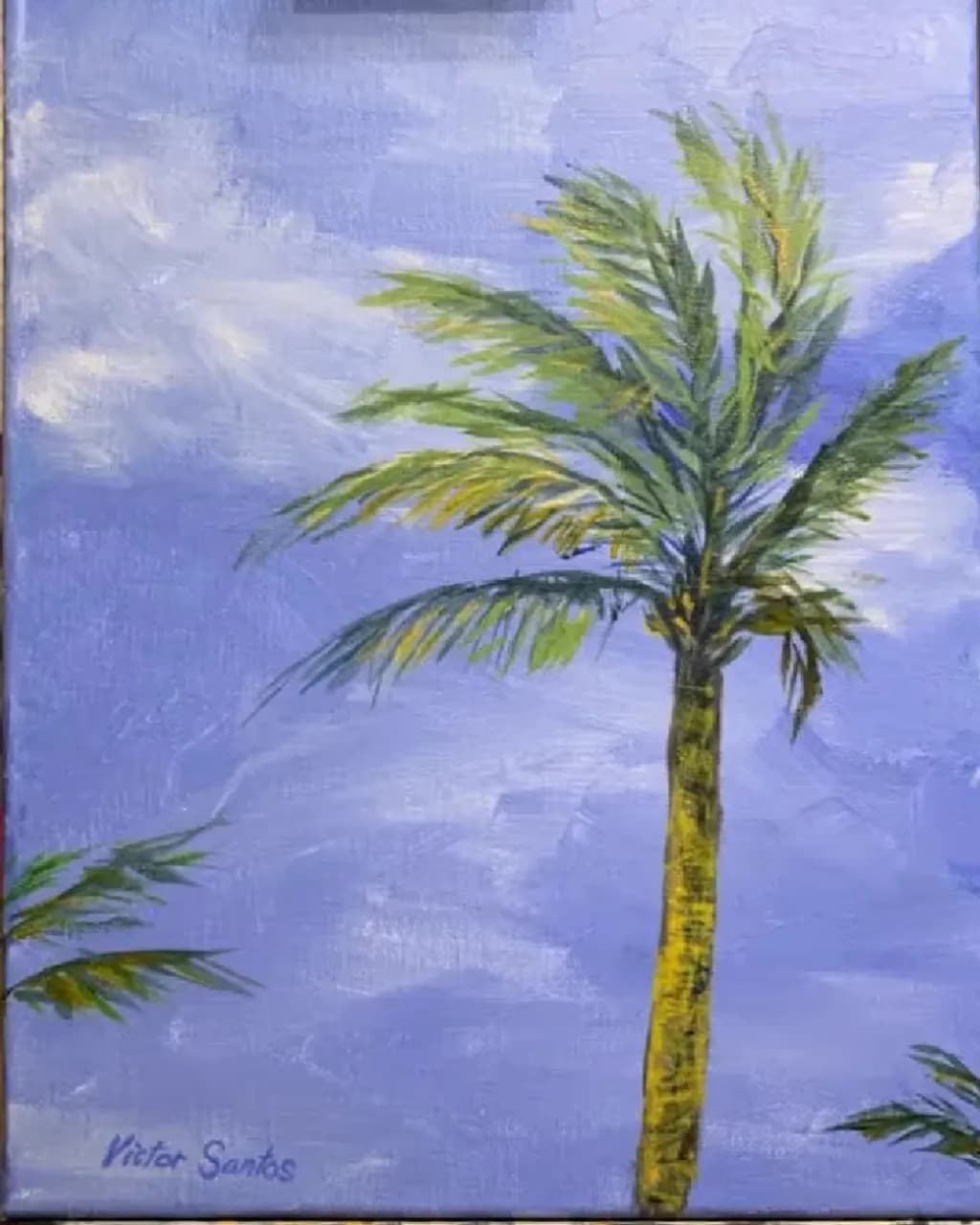 Palm Tree Sky