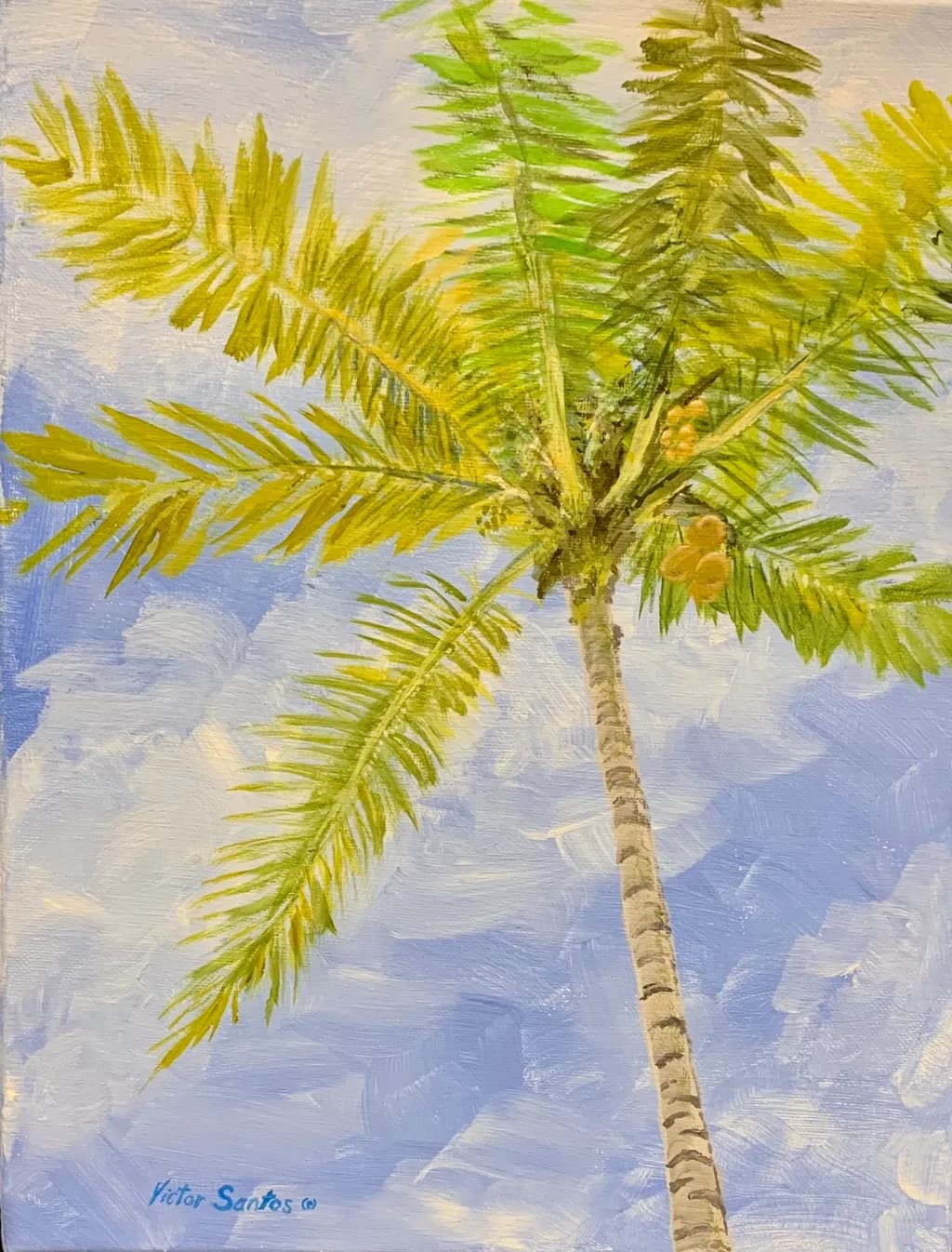 Palm Beneath Blue Skies