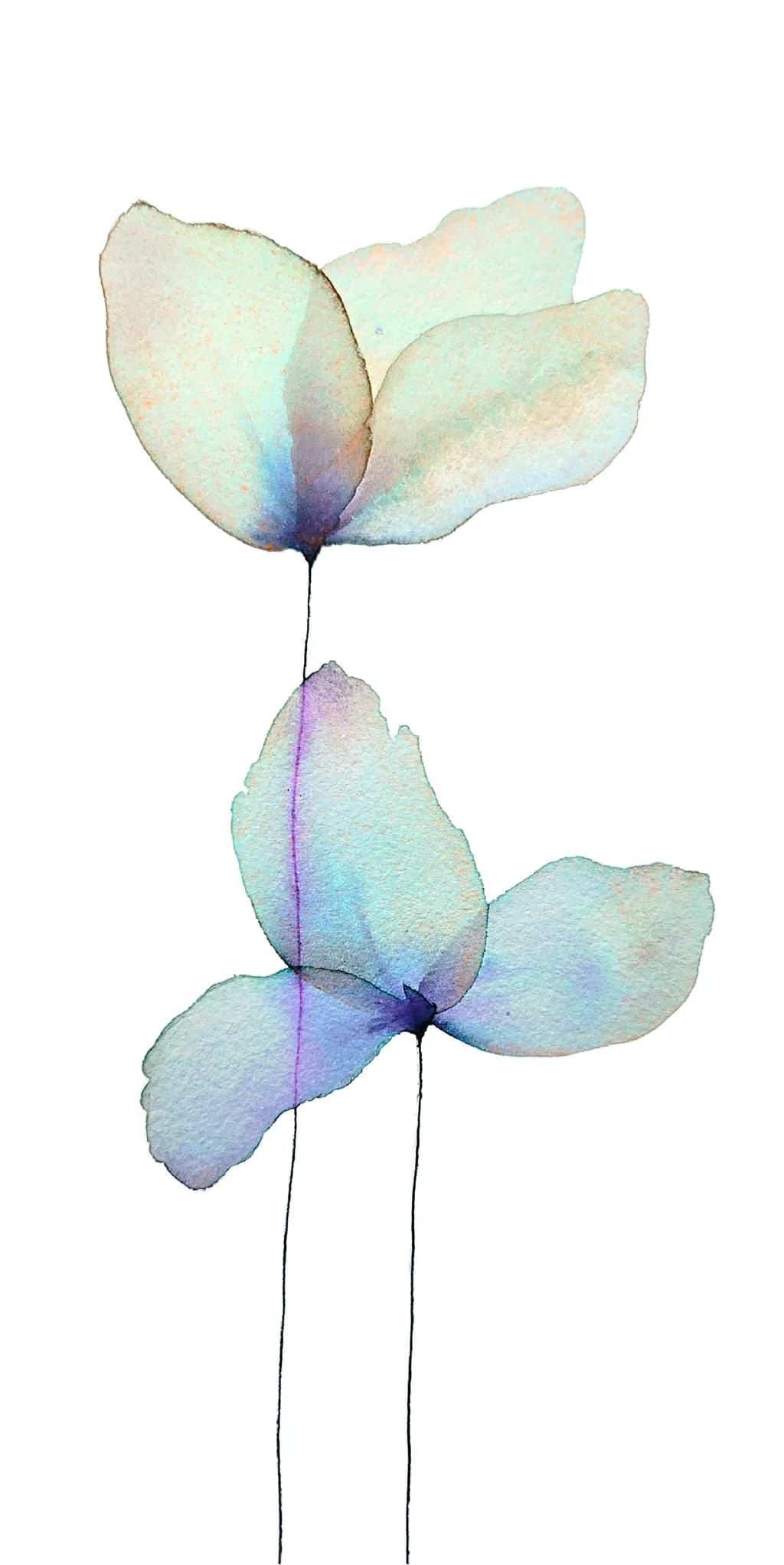 Elf Wings