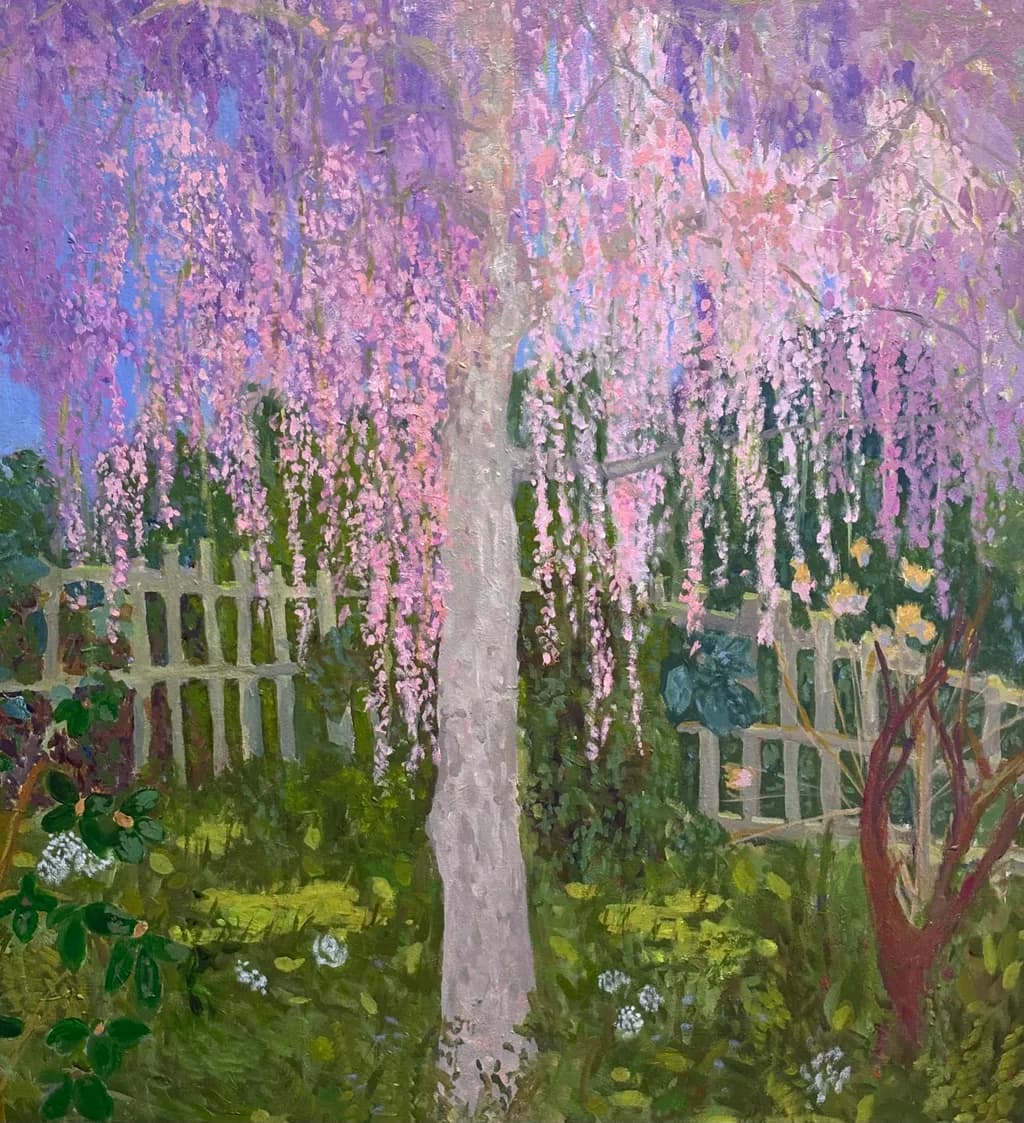 Weeping Cherry Tree