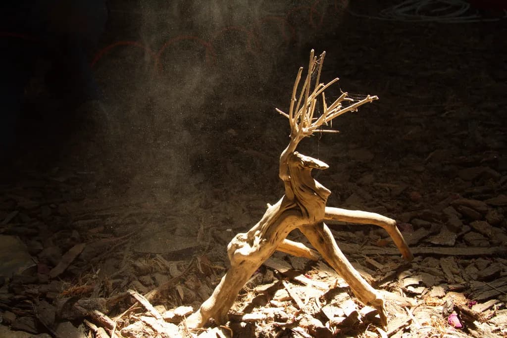 Dust Dancer