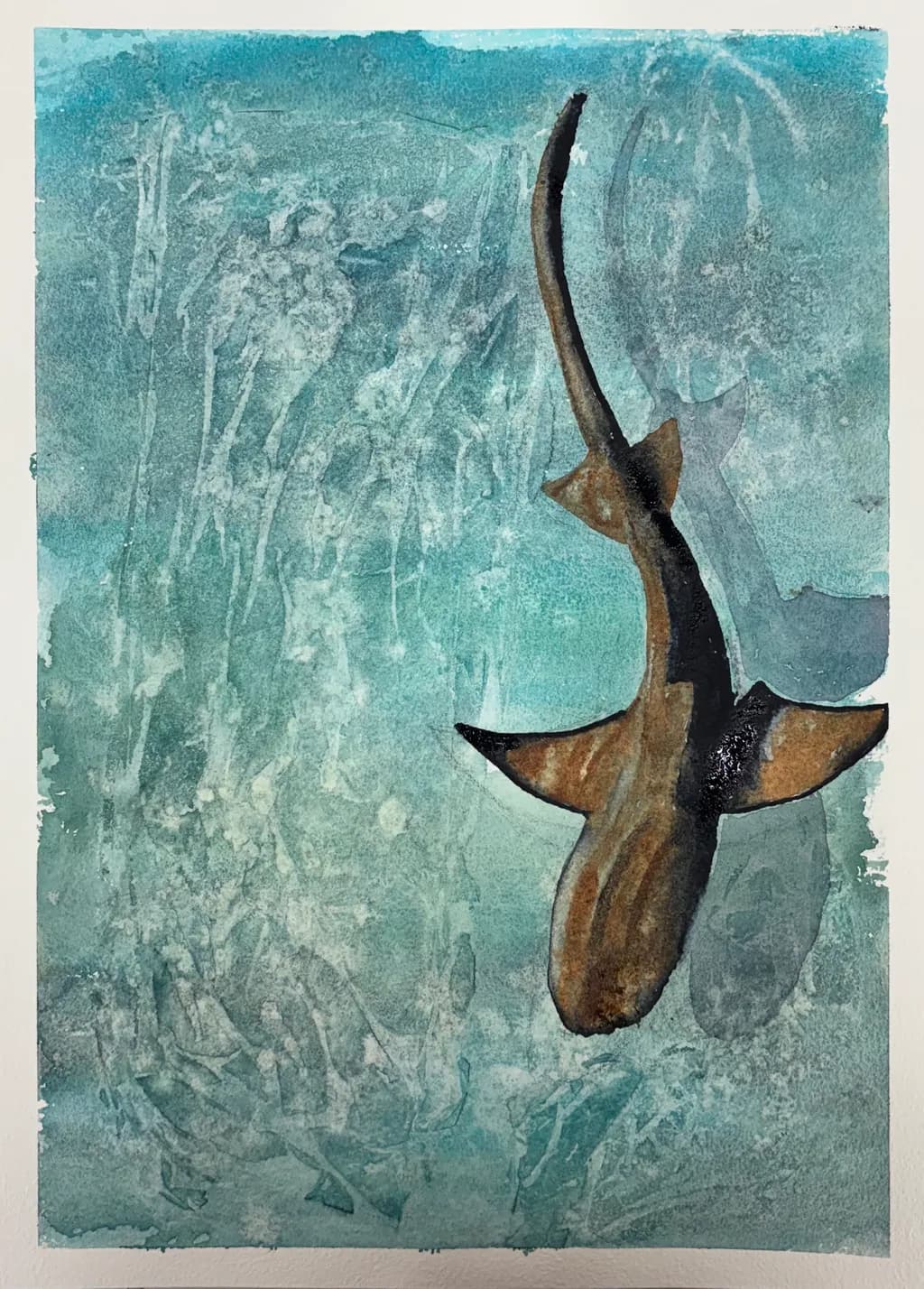 Hammerhead Shark Drift