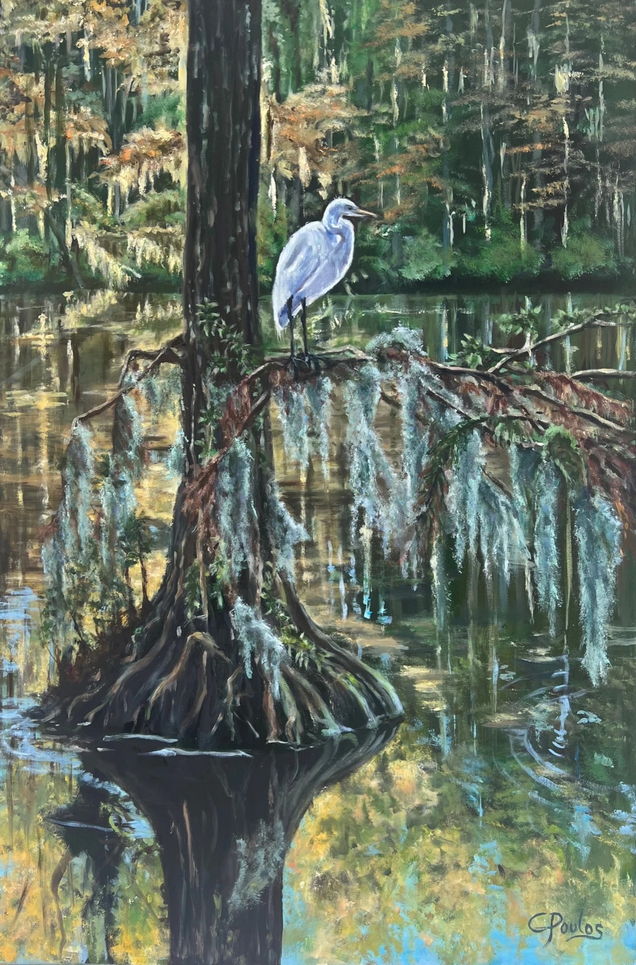 Egret at Greenfield