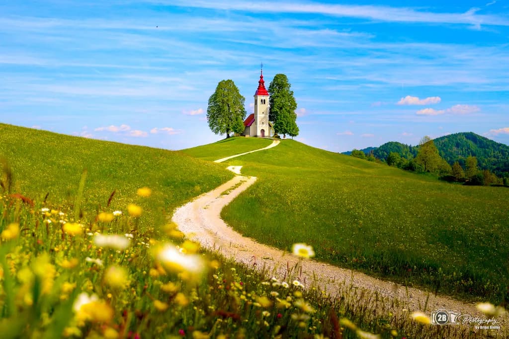 Whispers of Serenity: A Pathway to the Sacred Meadow Under a Vast Sky