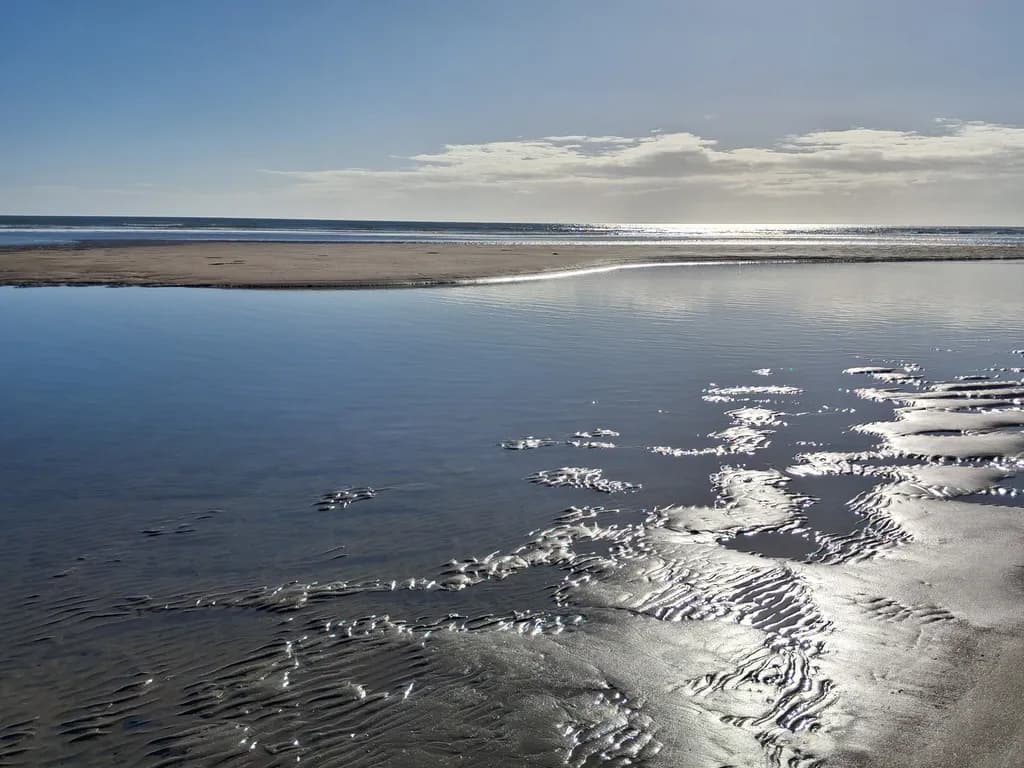 Sunlit Shoreline