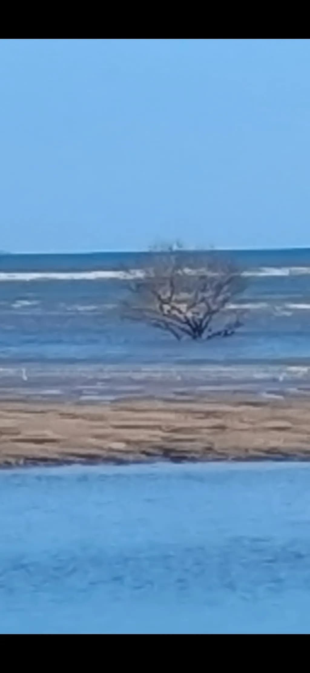Solitary Tides