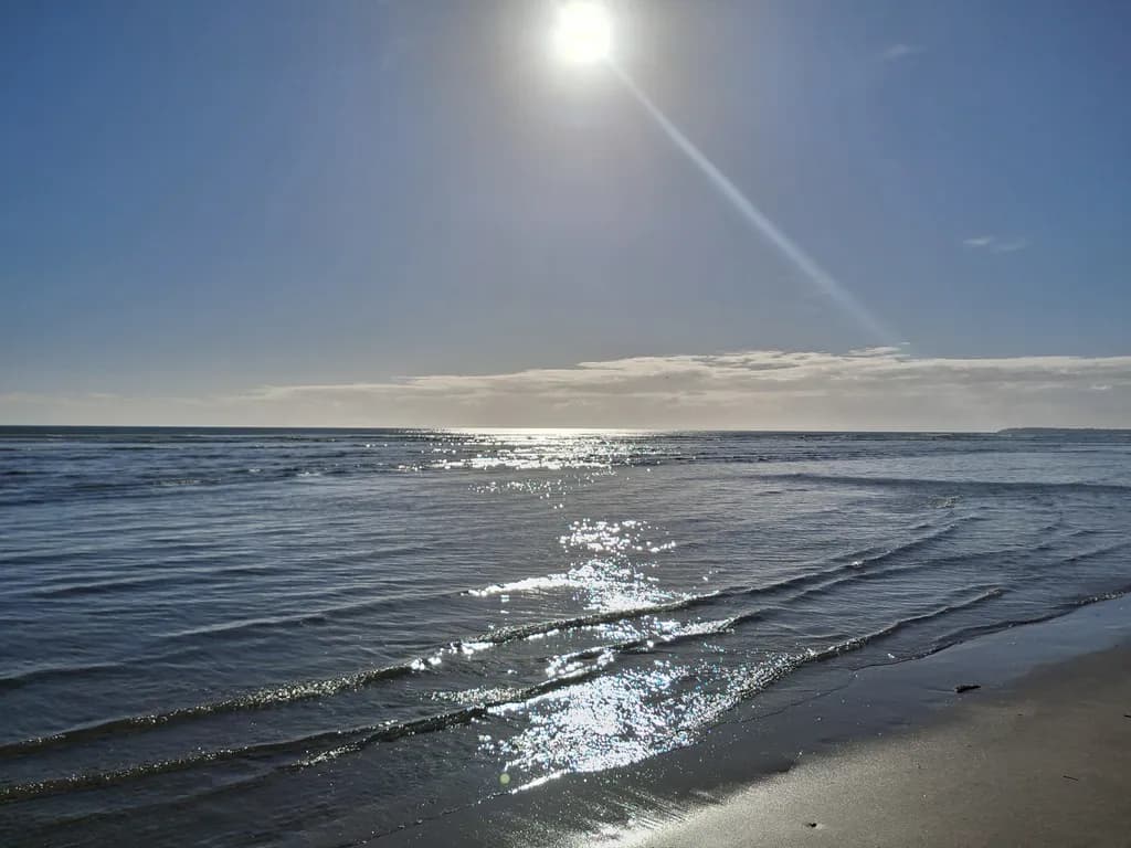 Shimmering Horizon