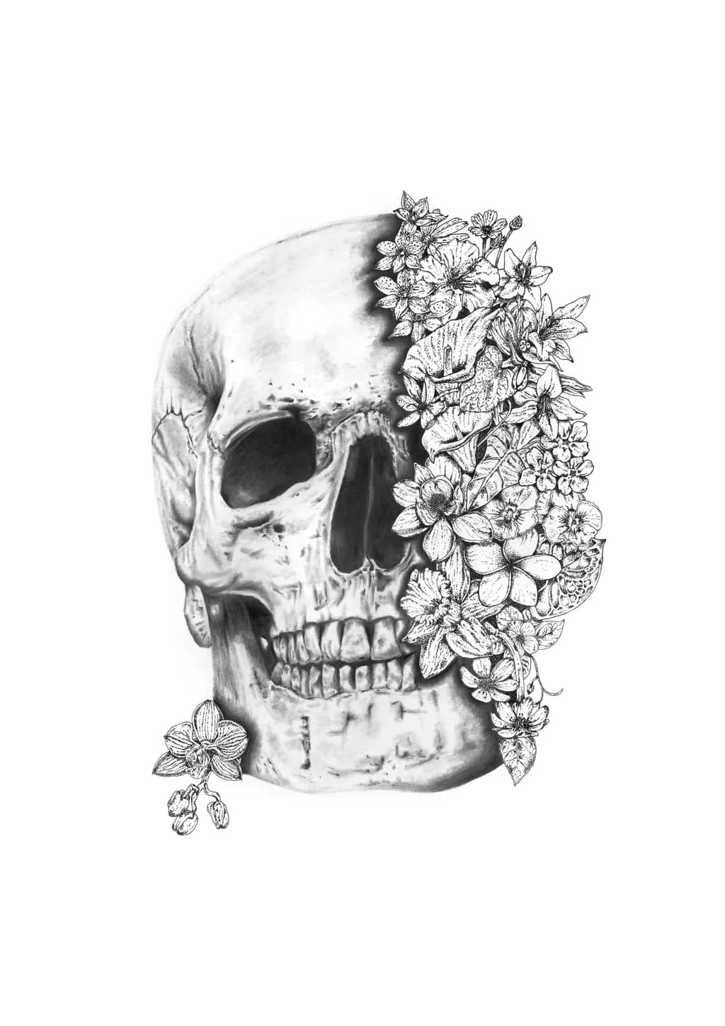 Ethereal Harmony: A Skull Adorned with Nature's Blooms