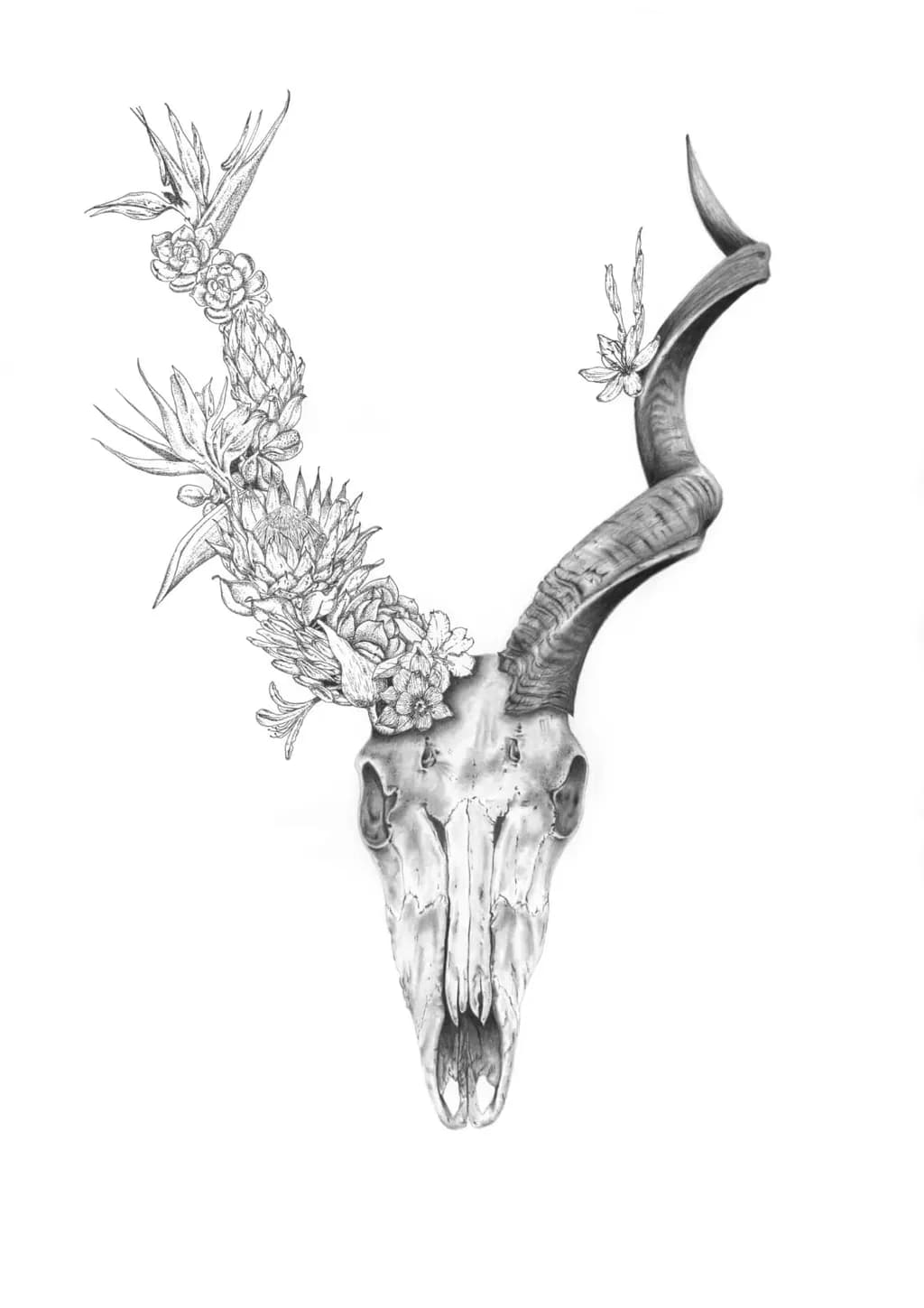 Whispers of Nature: A Floral Embrace on the Skull of the Wild