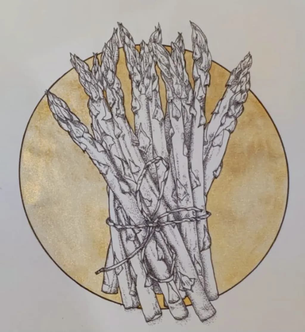 Asparagus Bundle