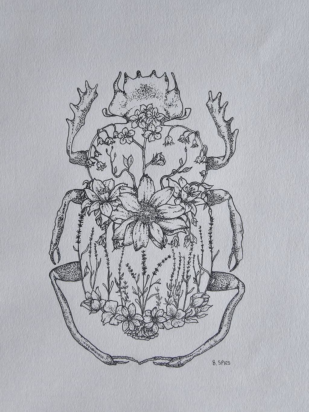 Floral Beetle Illustration