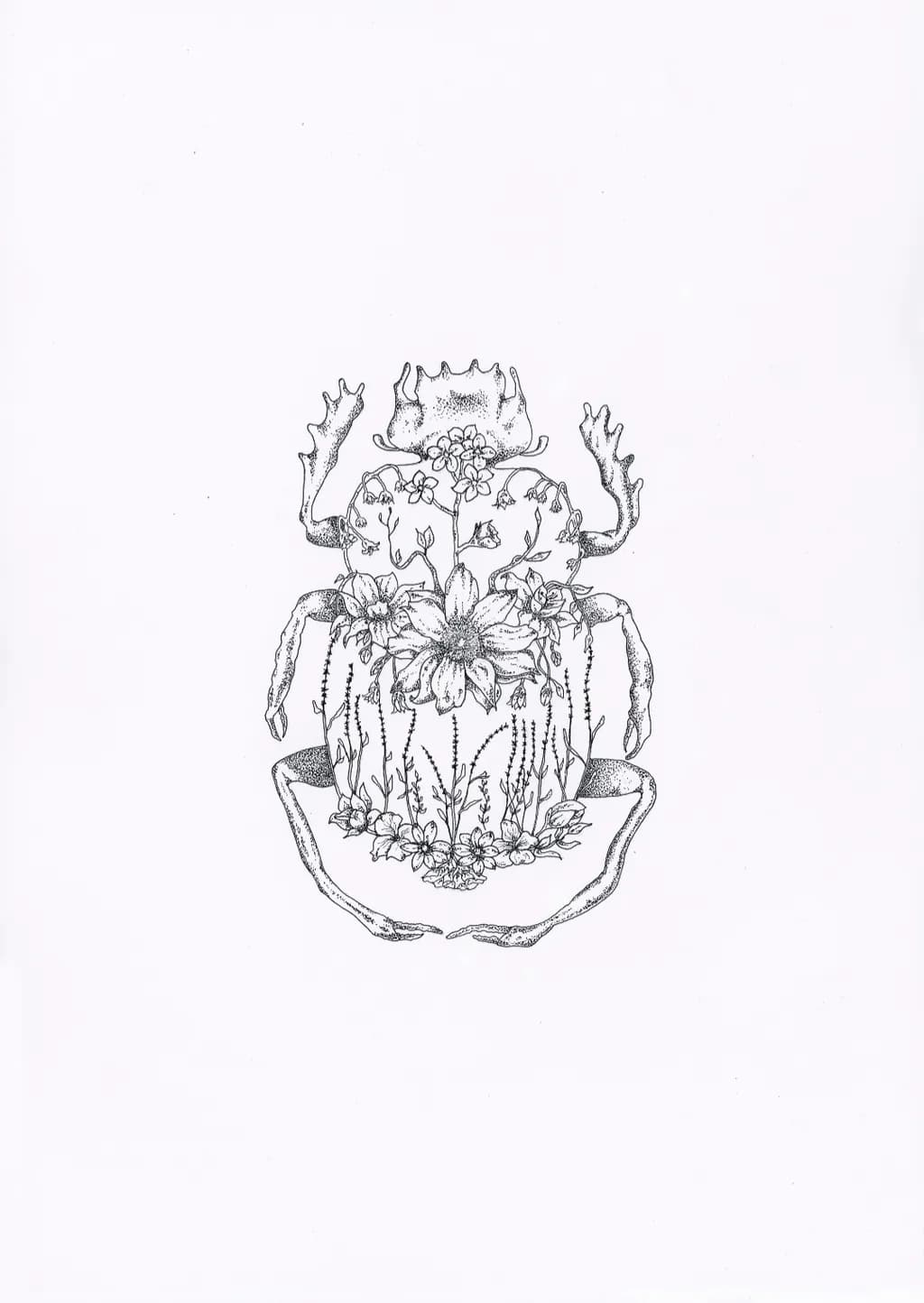 Floral Scarab