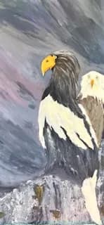 Majestic Eagles: A Dance of Feathers in Nature's Embrace