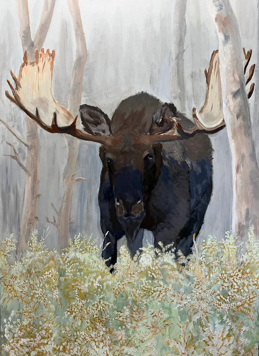Majestic Moose in the Mist