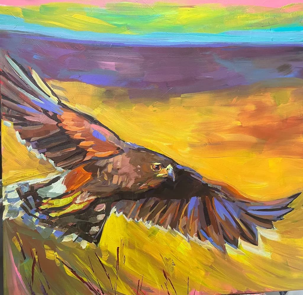 Soaring Hawk