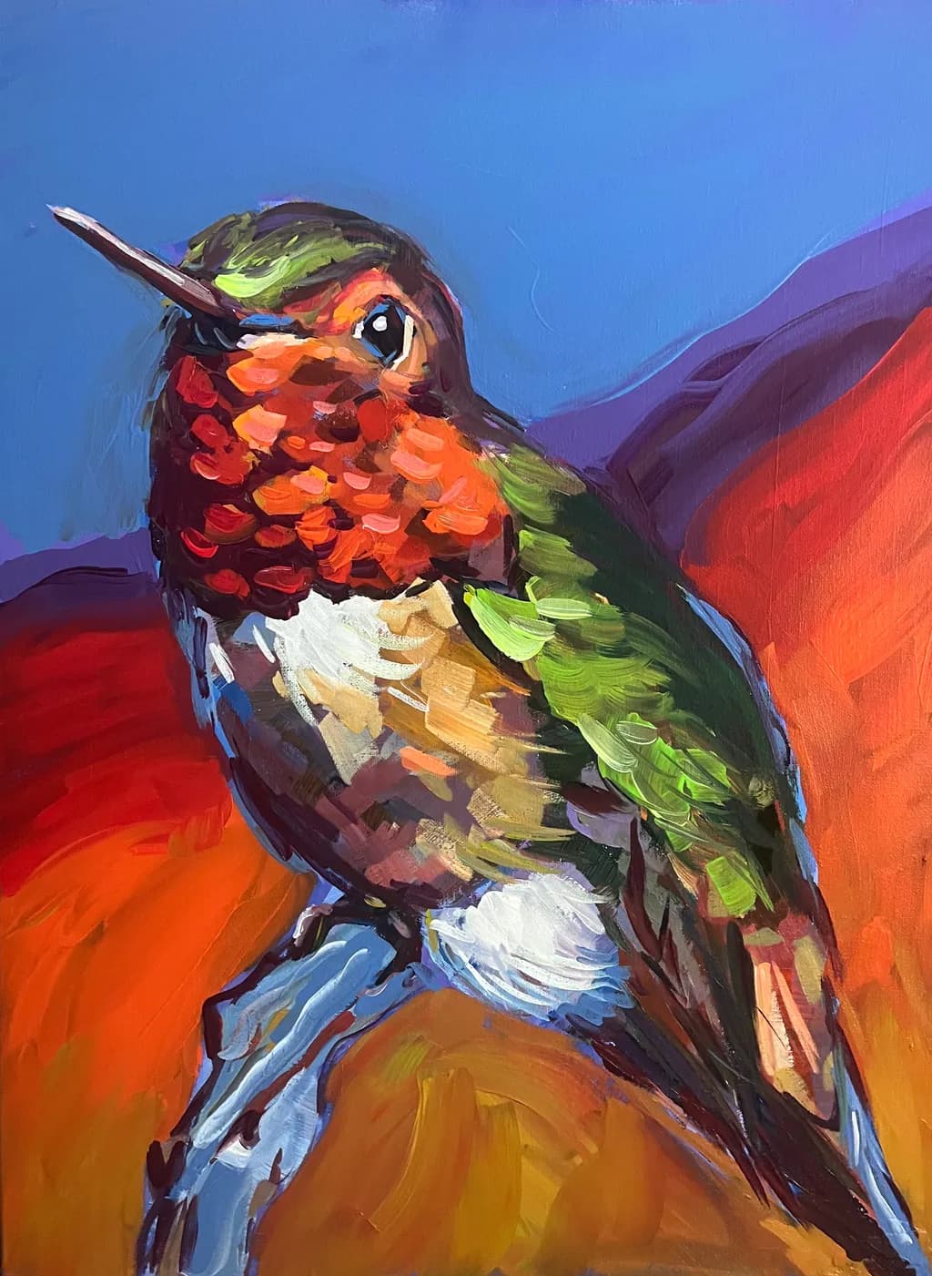 Aanna's Hummingbird