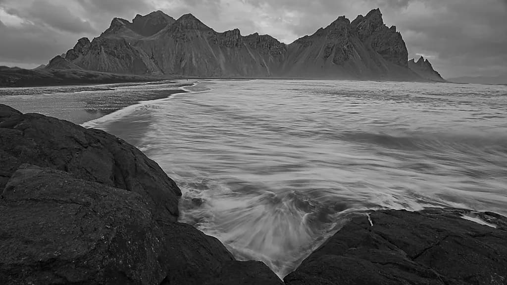 Coastal Majesty