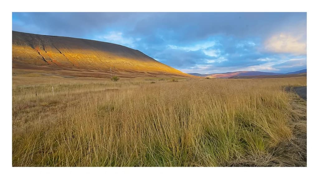 Golden Horizon
