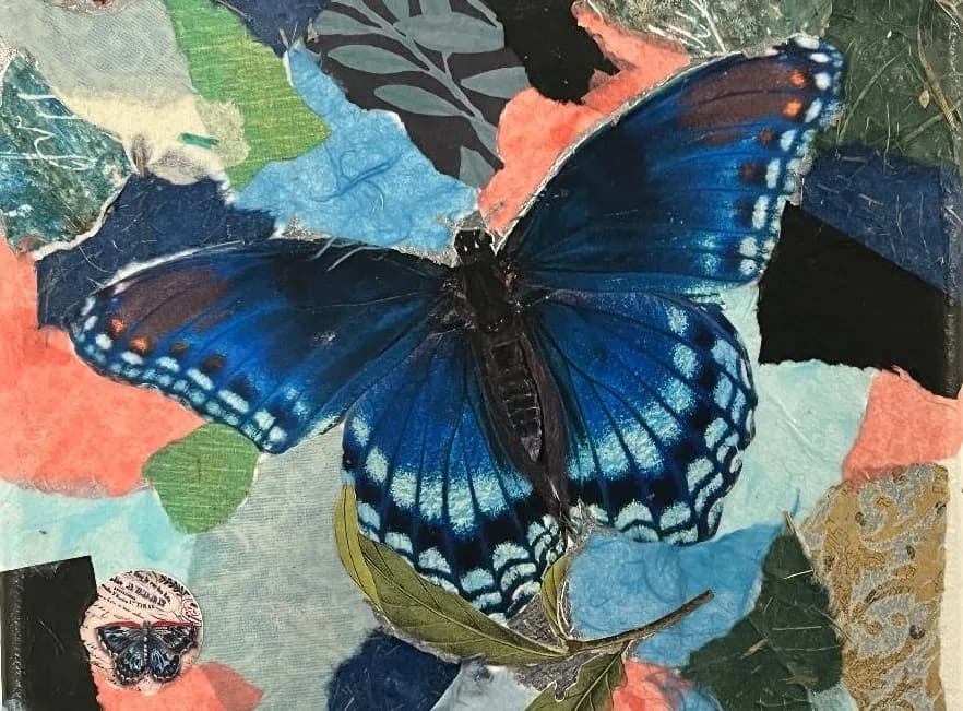 Flutterby Butterfly