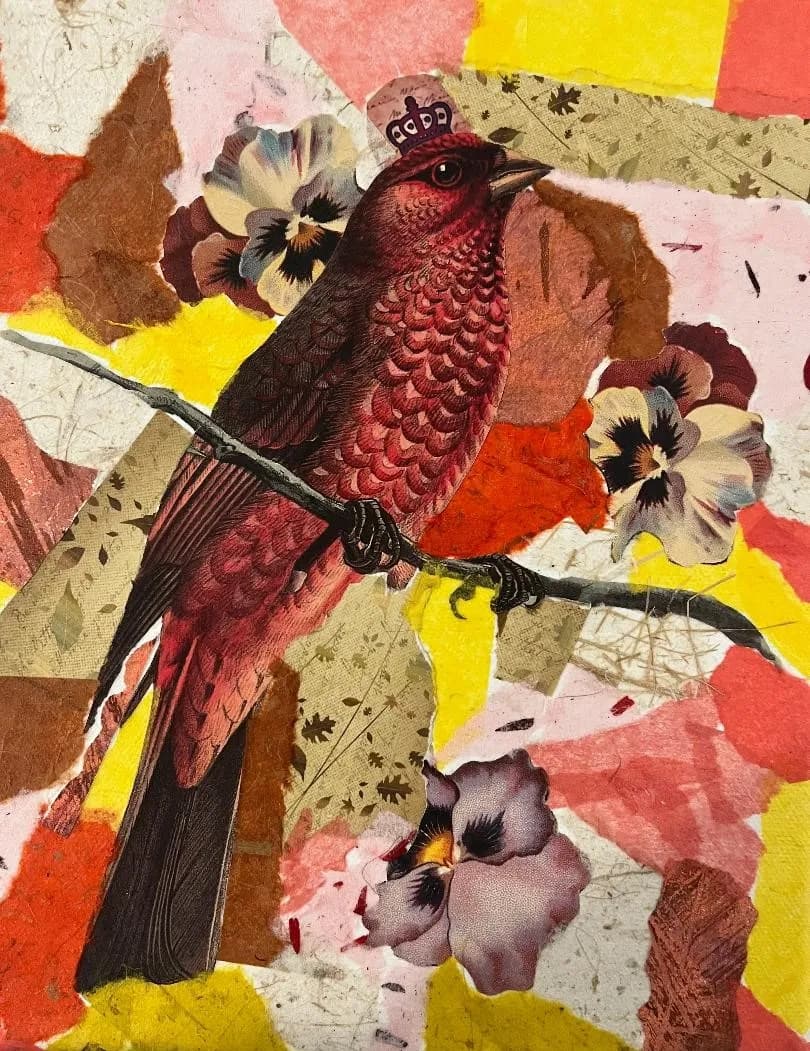 Royal Ruby Finch