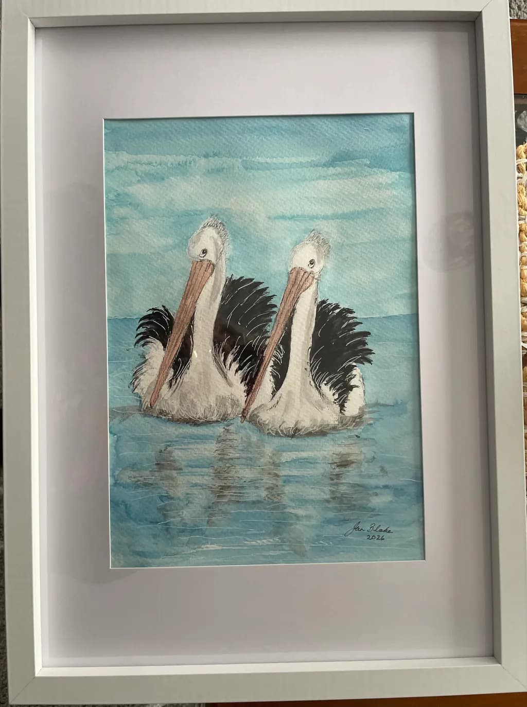 Pelican Pair Reflection