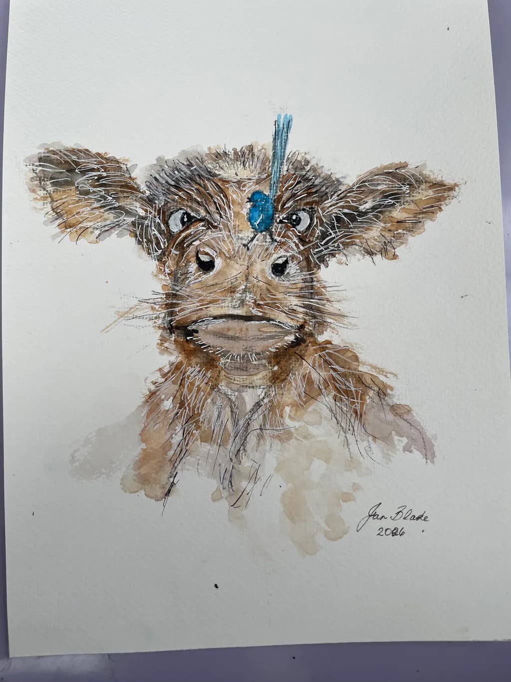 Curious Calf Portrait
