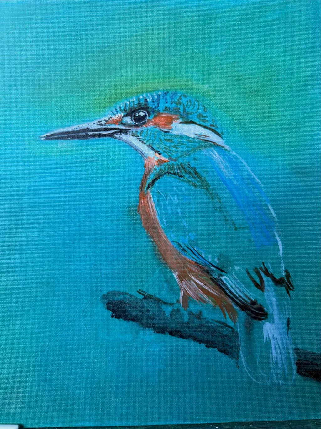 Kingfisher Vigilance