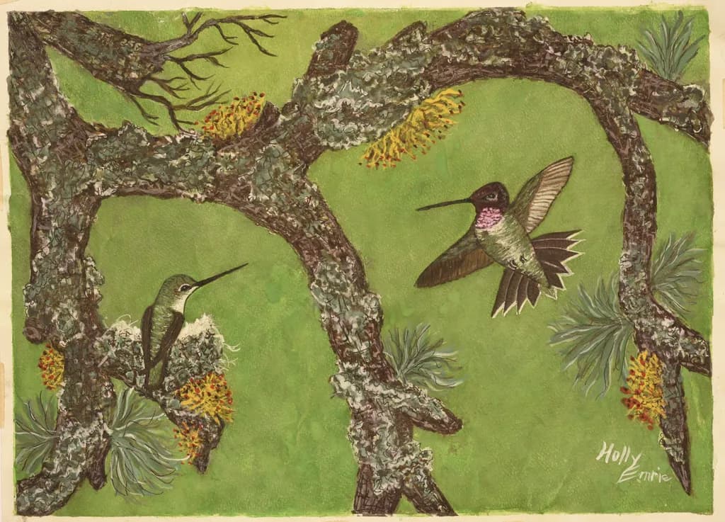 Hummingbird Harmony