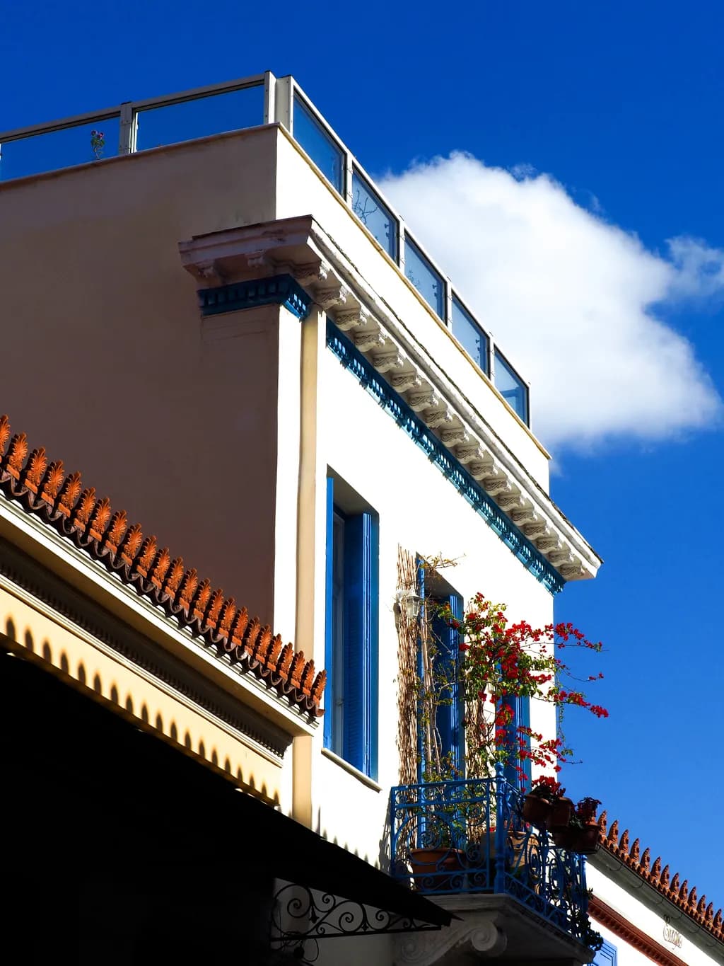 Balcony Blooms: A Dance of Blue and White Under the Sky