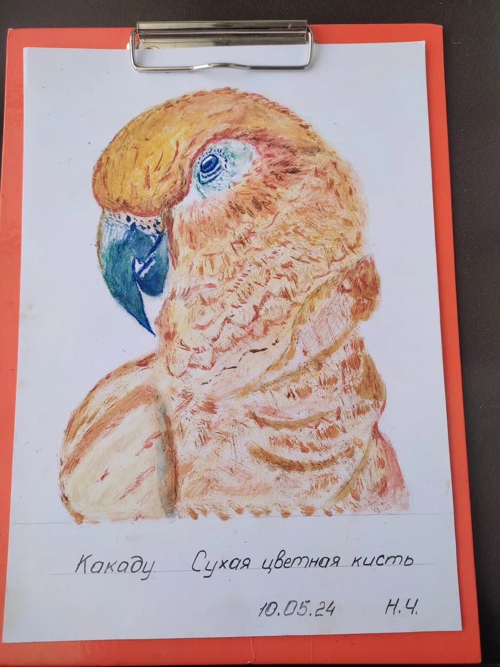Vibrant Cockatoo: A Captivating Dry Pastel Portrait