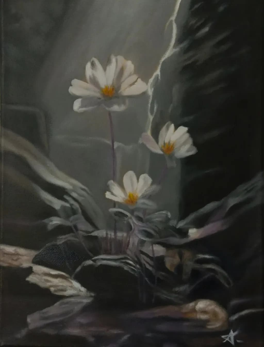 Whispers of Light: A Serene Bloom Amidst Shadows