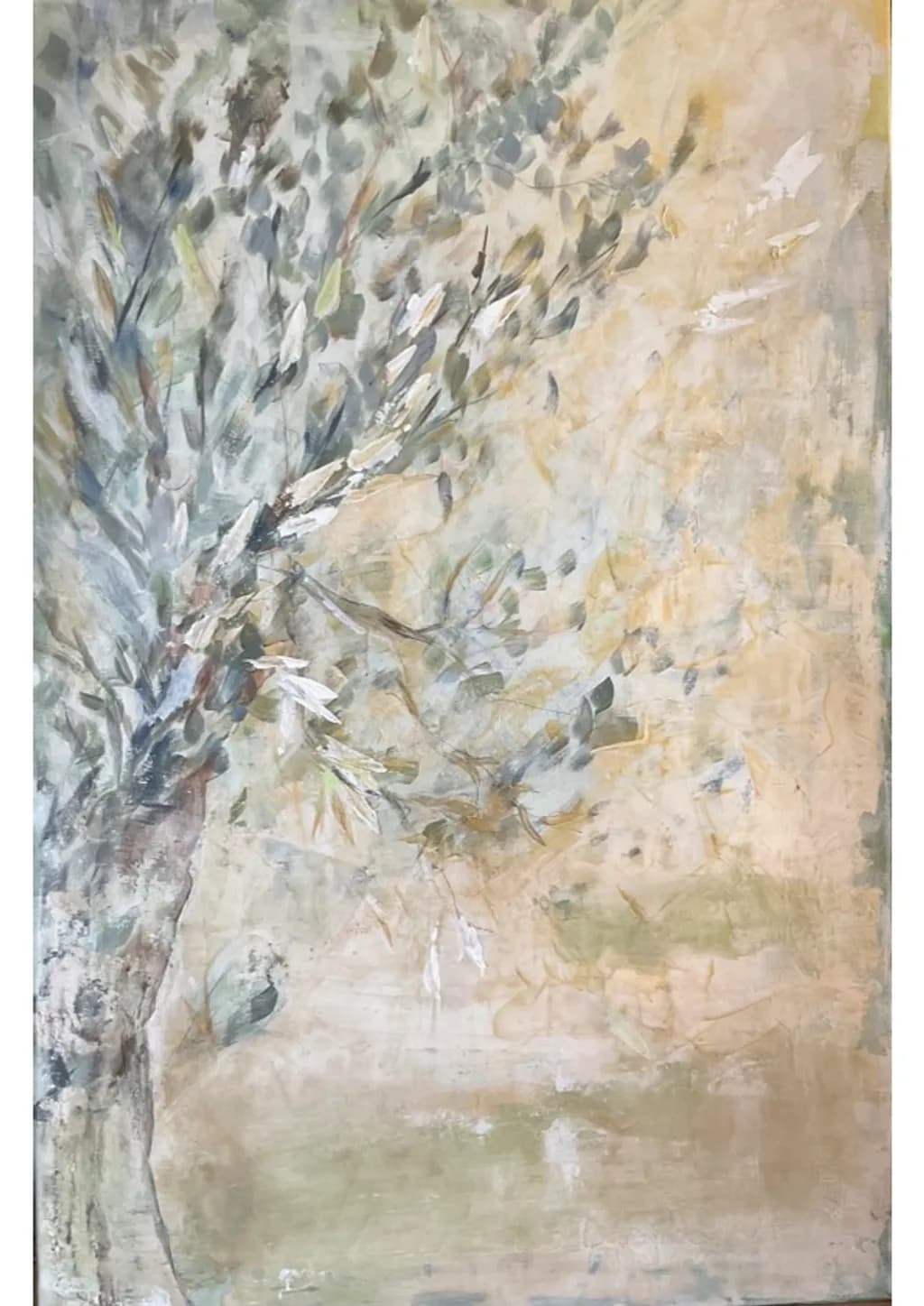 Baum nel Vento