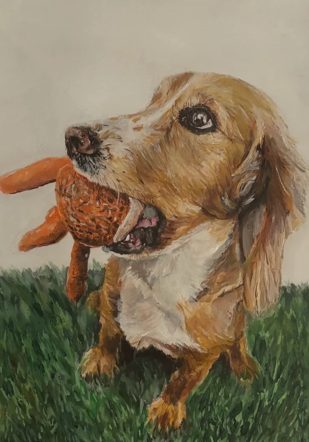 Playful Companion