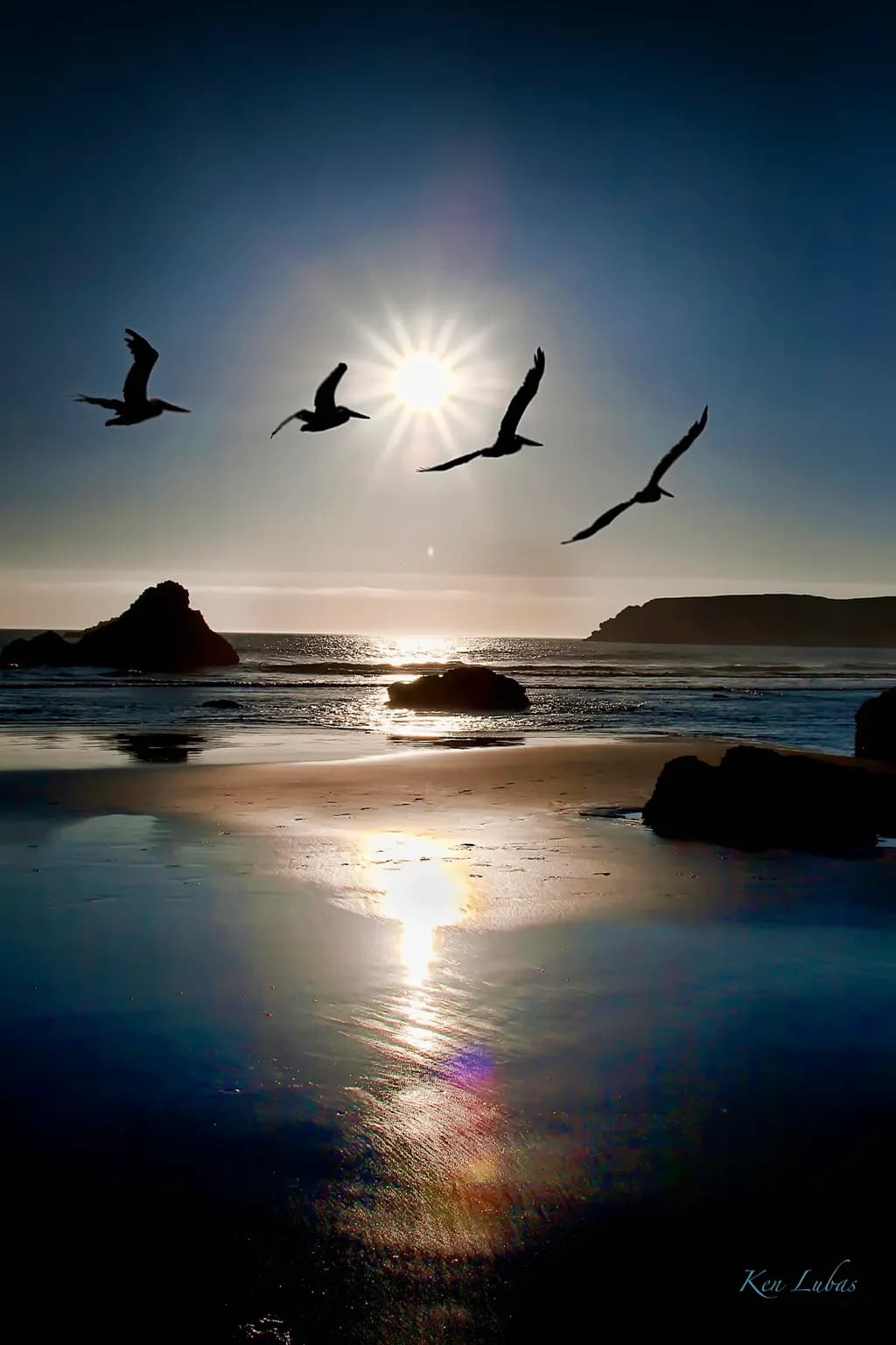 Serenity at Dusk: A Dance of Seagulls Beneath the Setting Sun