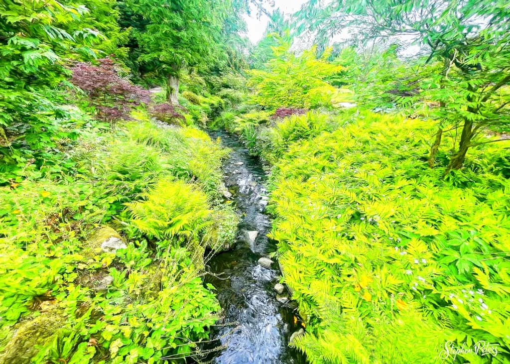 River Runs Through It