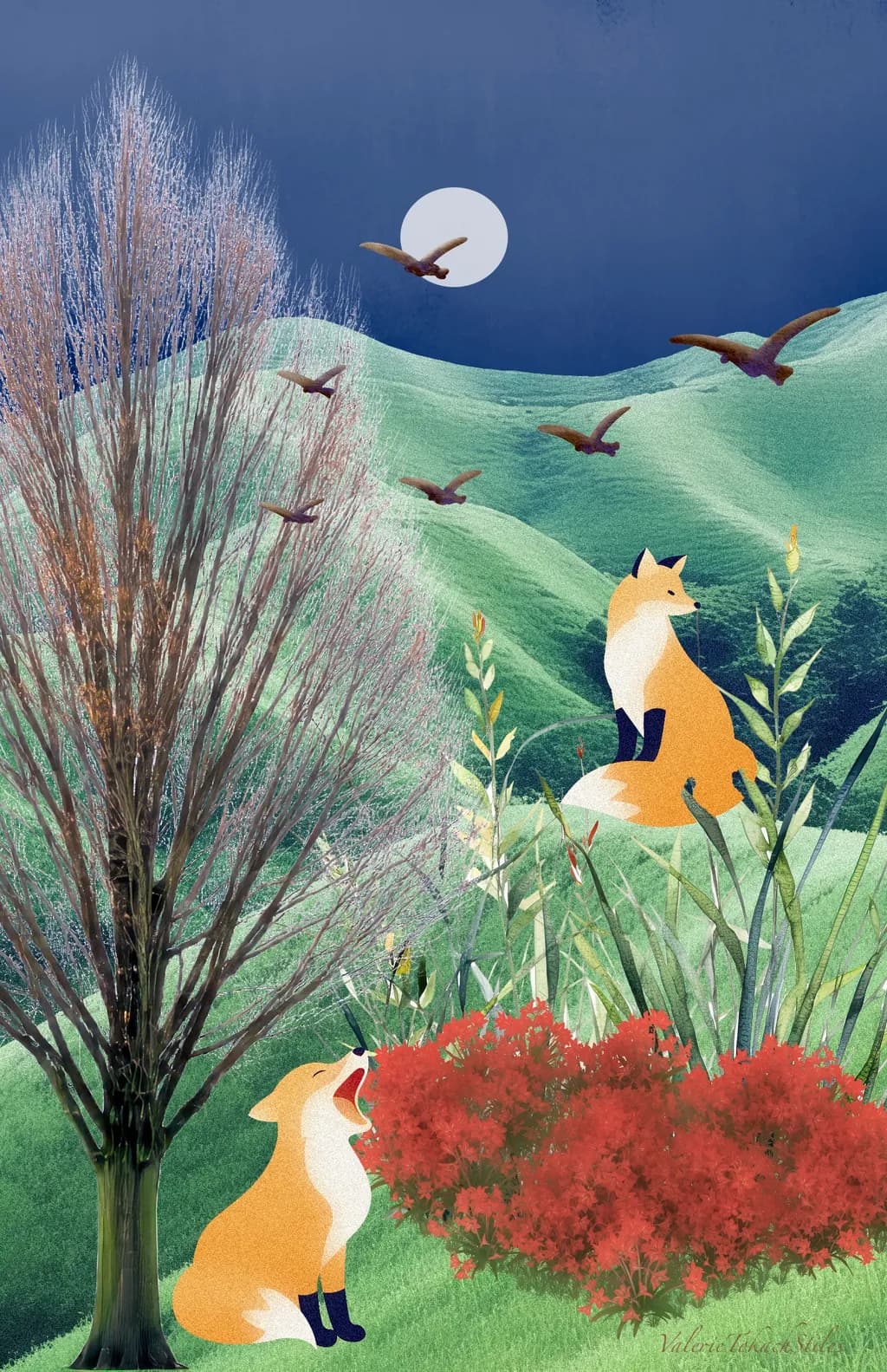 Moonlit Foxes