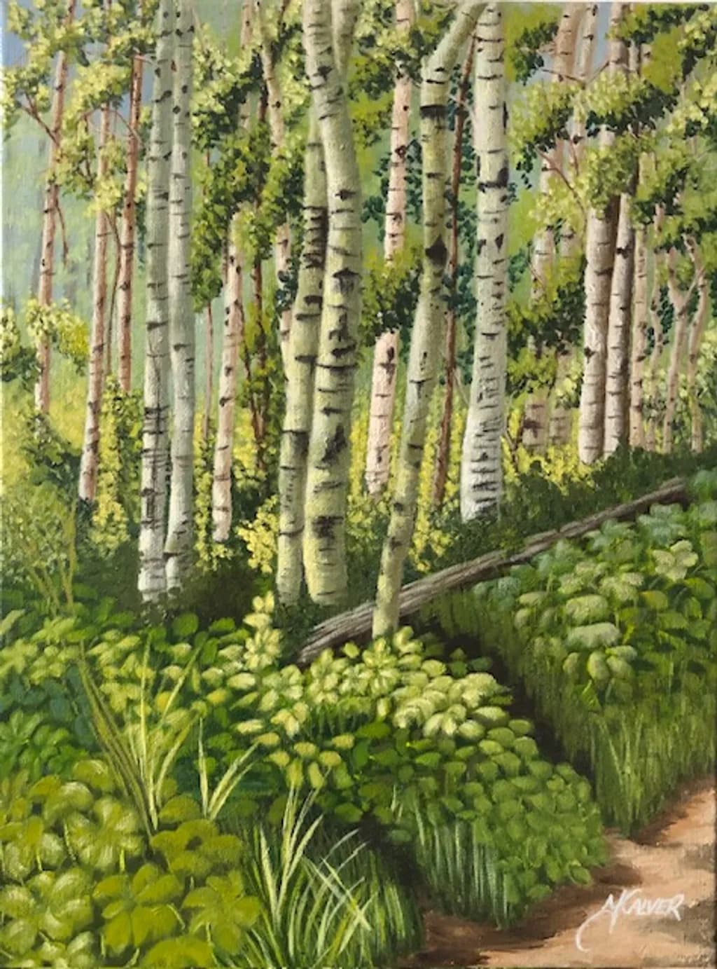 Birch Copse