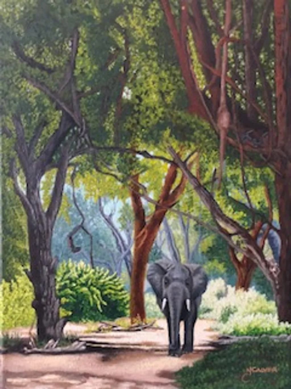Shingwedzi Stroll