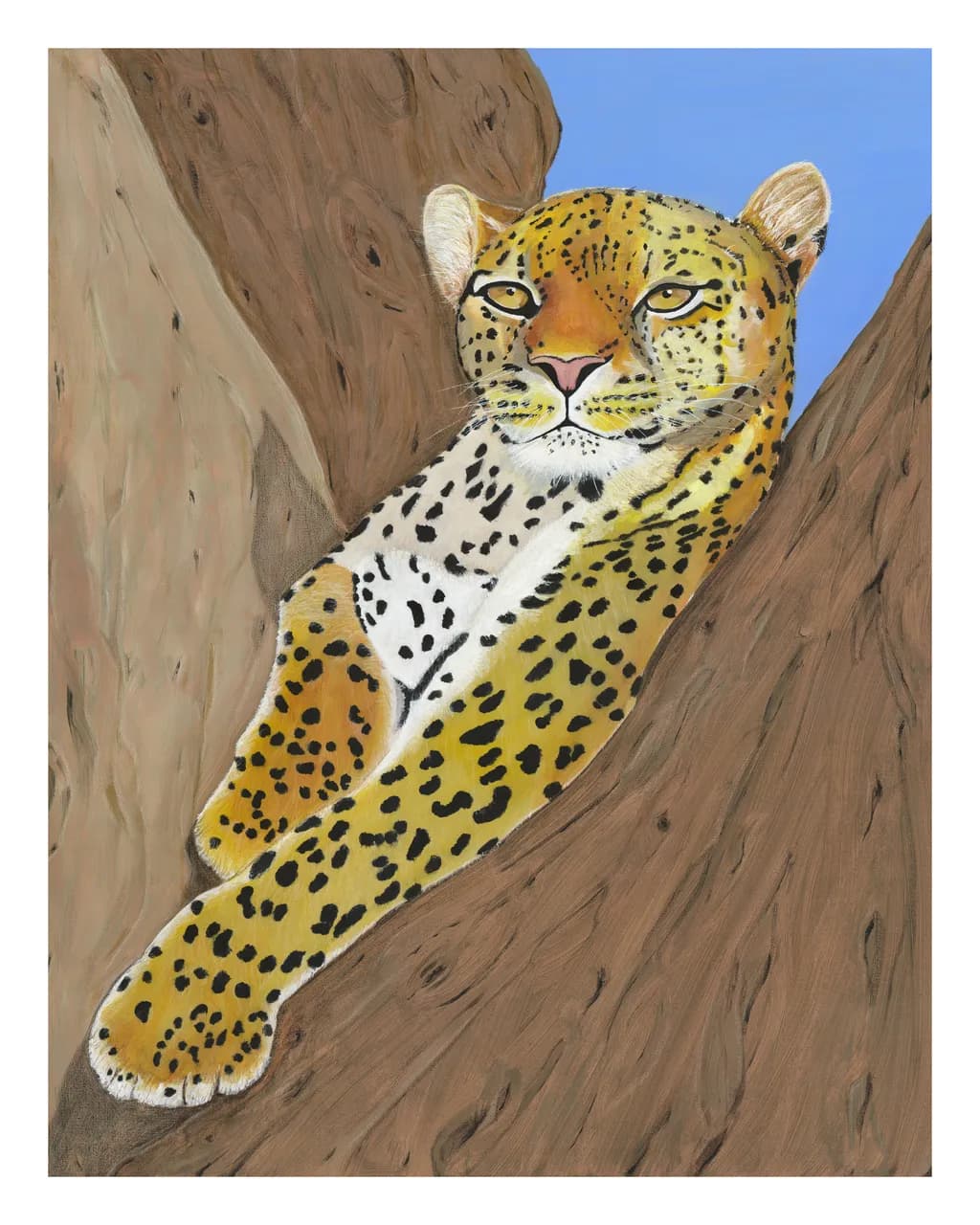 Leopard Resting
