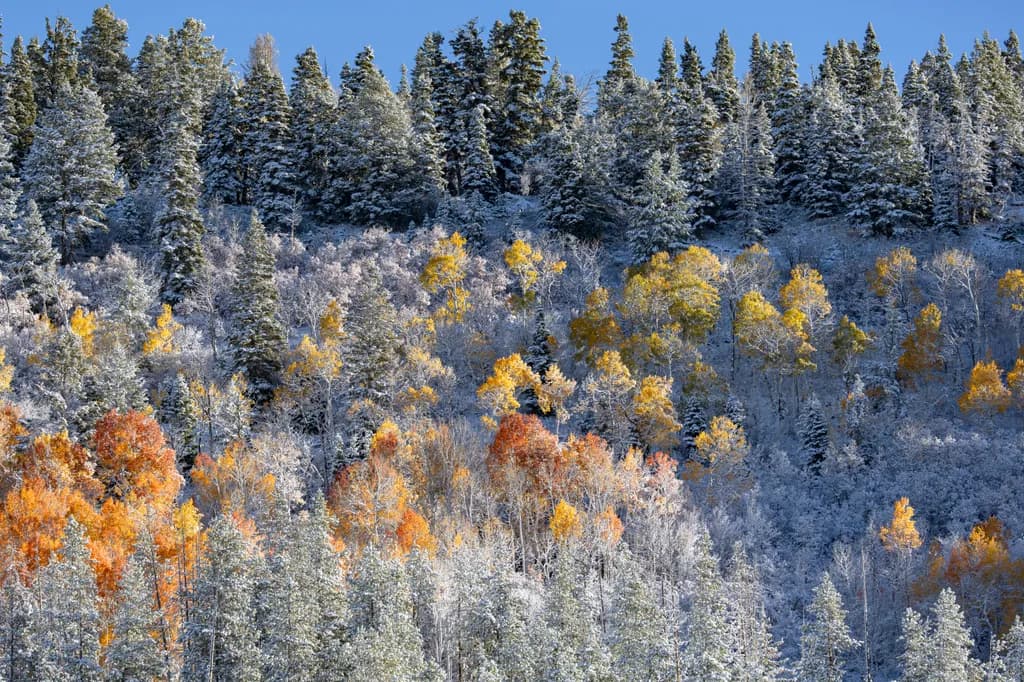 Uinta Mountains September Snow