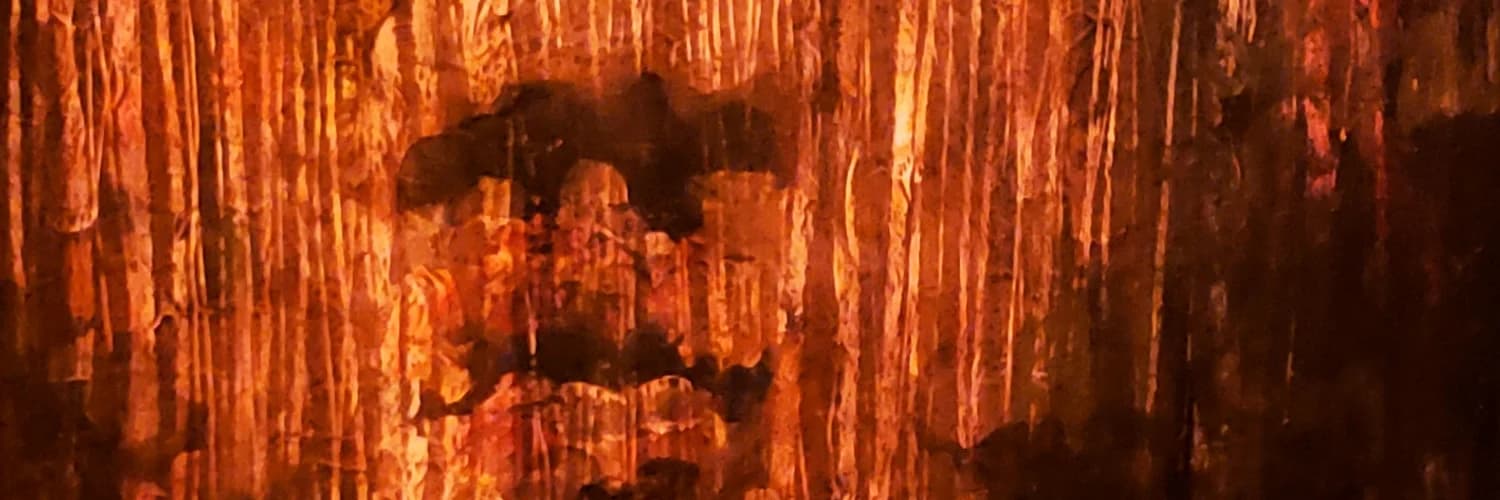Banner do perfil