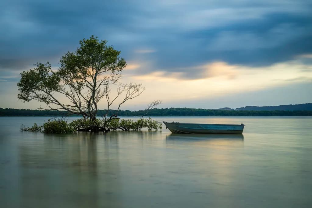 Morning Calm at the River