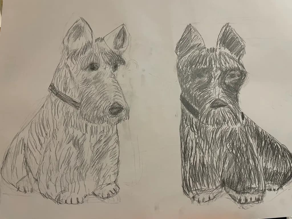 Whiskered Companions: A Black and White Dog Portrait Sketch Collection