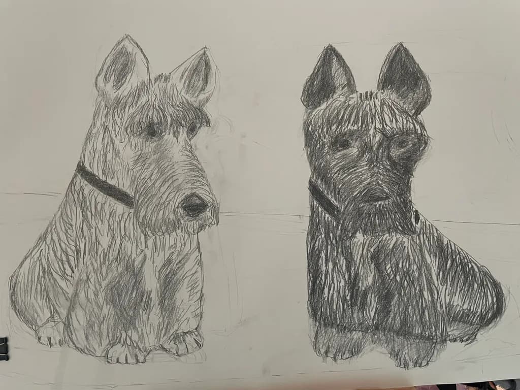 Whiskered Companions: A Black and White Portrait of Canine Charm