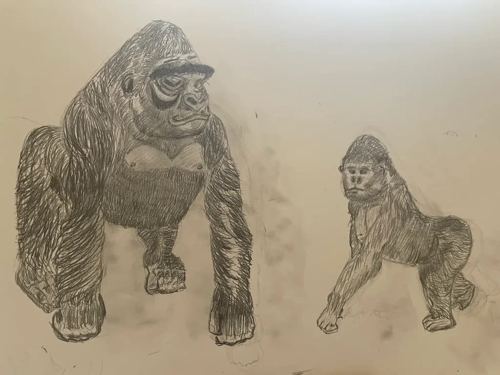 Majestic Guardians: A Sketch of Strength and Grace in Gorilla Illustration